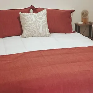 Hermoso Departamento Centrico , Mendoza Argentina